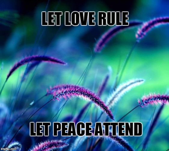LET LOVE RULE; LET PEACE ATTEND | image tagged in love,peace,world peace,election 2016 fatigue,open the gate,and everybody loses their minds | made w/ Imgflip meme maker