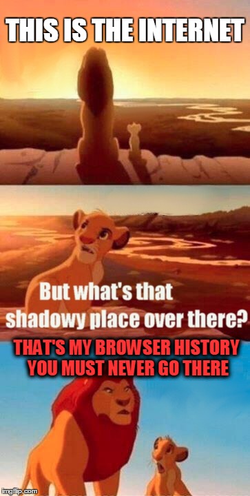 Simba Shadowy Place | THIS IS THE INTERNET; THAT'S MY BROWSER HISTORY YOU MUST NEVER GO THERE | image tagged in memes,simba shadowy place | made w/ Imgflip meme maker