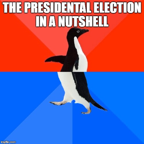 Socially Awesome Awkward Penguin | THE PRESIDENTAL ELECTION IN A NUTSHELL | image tagged in memes,socially awesome awkward penguin | made w/ Imgflip meme maker