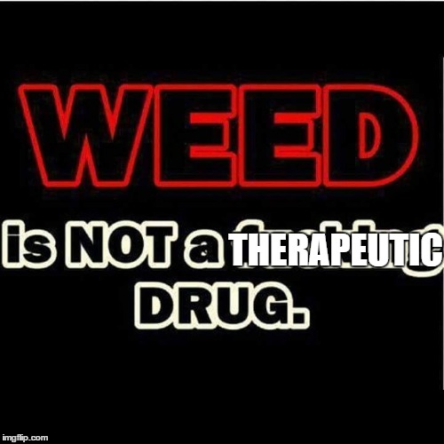 Weed is not a drug | THERAPEUTIC | image tagged in drugs,conspiracy theory,funny memes,weed,medical,cancer | made w/ Imgflip meme maker