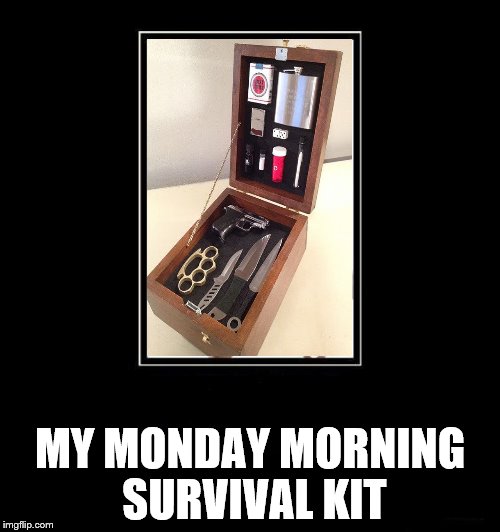 What's in your wallet | MY MONDAY MORNING SURVIVAL KIT | image tagged in monday | made w/ Imgflip meme maker