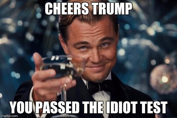 Leonardo Dicaprio Cheers Meme | CHEERS TRUMP; YOU PASSED THE IDIOT TEST | image tagged in memes,leonardo dicaprio cheers | made w/ Imgflip meme maker