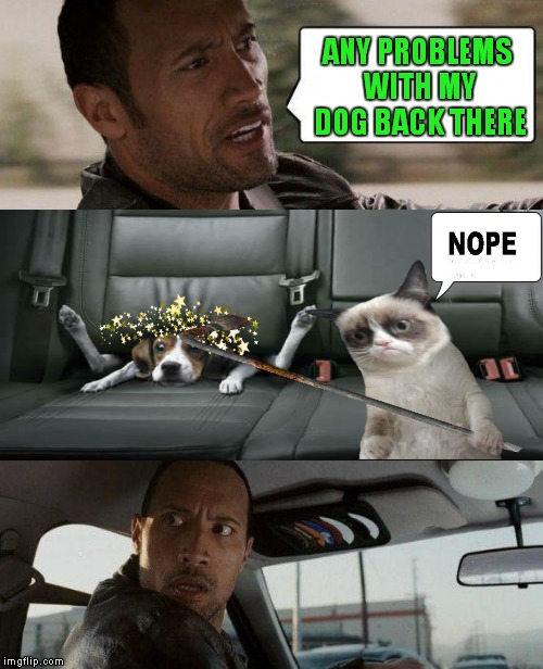 The Rock Driving Meme | ANY PROBLEMS WITH MY DOG BACK THERE | image tagged in memes,the rock driving | made w/ Imgflip meme maker