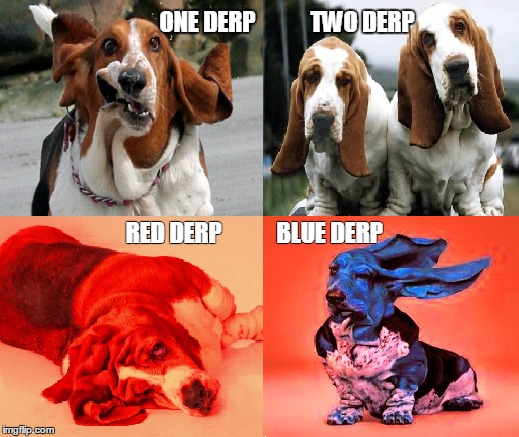 Cute little derps #1...1 derp, 2 derp, red derp, blue derp. | ONE DERP            TWO DERP; RED DERP            BLUE DERP | image tagged in derp,basset hound,cute dogs,funny dogs,dr seuss | made w/ Imgflip meme maker