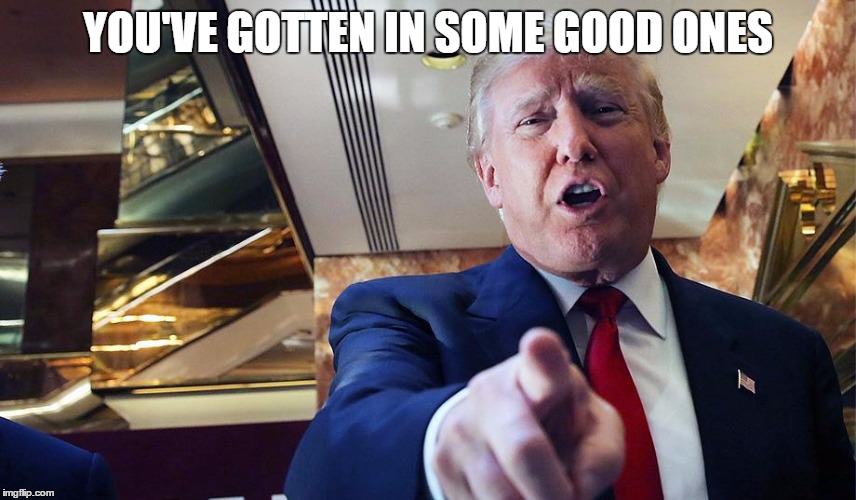 Trump I Want You | YOU'VE GOTTEN IN SOME GOOD ONES | image tagged in trump burn | made w/ Imgflip meme maker