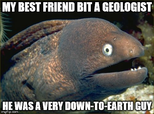Keep your hands out of underwater holes | MY BEST FRIEND BIT A GEOLOGIST; HE WAS A VERY DOWN-TO-EARTH GUY | image tagged in memes,bad joke eel,geology | made w/ Imgflip meme maker
