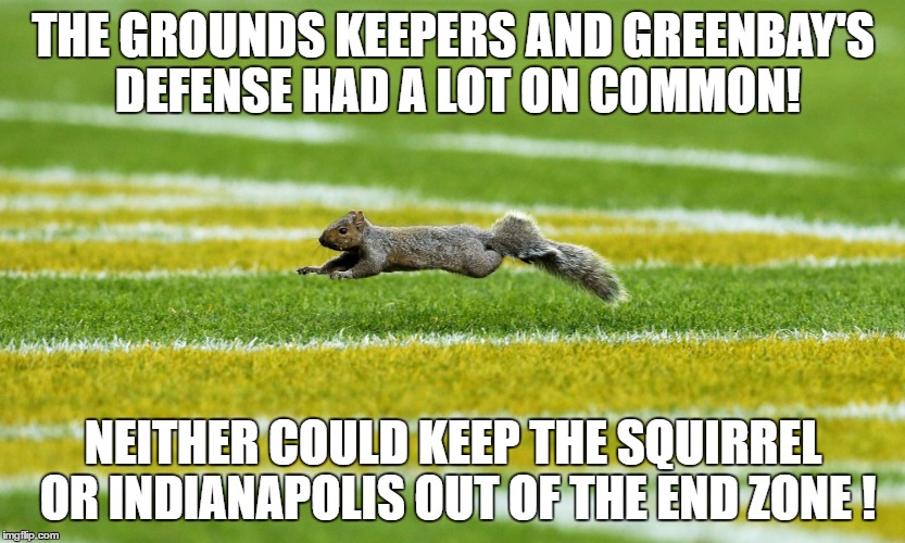 THE GROUNDS KEEPERS AND GREENBAY'S DEFENSE HAD A LOT ON COMMON! NEITHER COULD KEEP THE SQUIRREL OR INDIANAPOLIS OUT OF THE END ZONE ! | image tagged in end zone squirrel | made w/ Imgflip meme maker