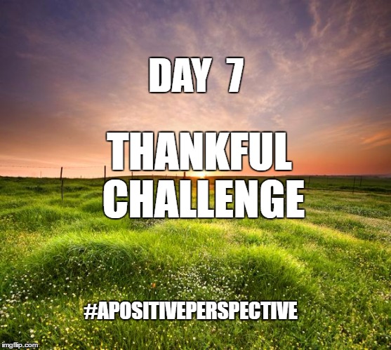 landscapemaymay | DAY  7; THANKFUL CHALLENGE; #APOSITIVEPERSPECTIVE | image tagged in landscapemaymay | made w/ Imgflip meme maker