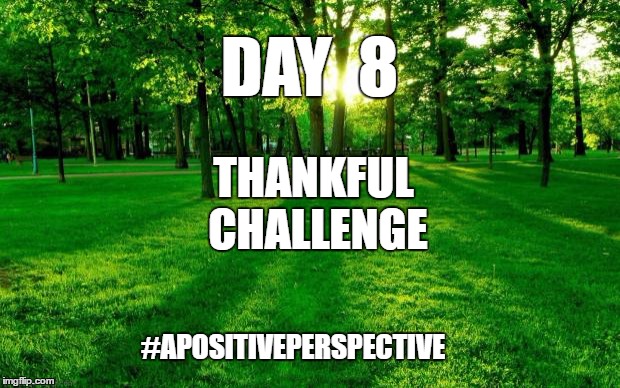 Landscape | DAY  8; THANKFUL CHALLENGE; #APOSITIVEPERSPECTIVE | image tagged in landscape | made w/ Imgflip meme maker