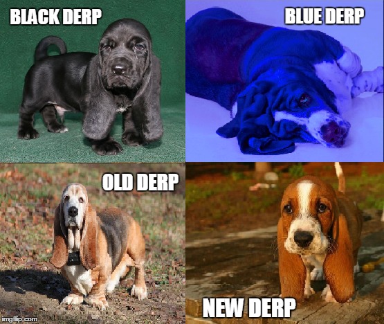 Cute little derps #2..black derp, blue derp, old derp, new derp. | BLUE DERP; BLACK DERP; OLD DERP; NEW DERP | image tagged in basset hound,funny dogs,cute dog,derp,dr seuss | made w/ Imgflip meme maker