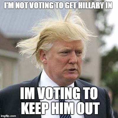Donald Trump | I'M NOT VOTING TO GET HILLARY IN; IM VOTING TO KEEP HIM OUT | image tagged in donald trump | made w/ Imgflip meme maker