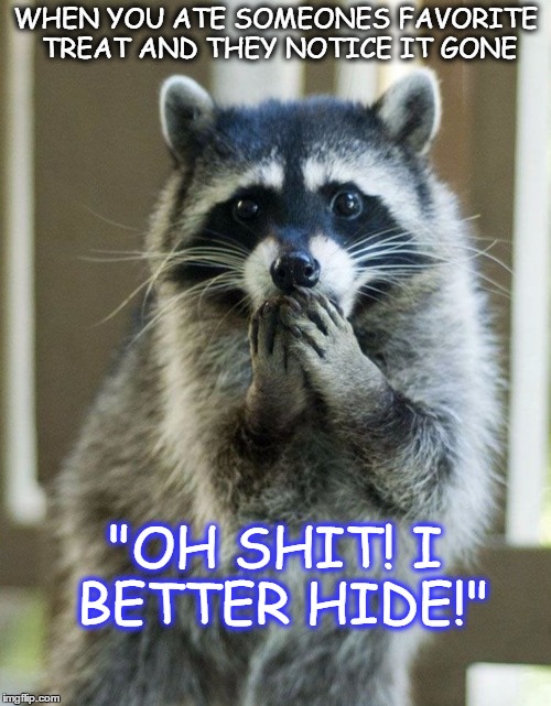 WHEN YOU ATE SOMEONES FAVORITE TREAT AND THEY NOTICE IT GONE; "OH SHIT! I BETTER HIDE!" | image tagged in funny animals | made w/ Imgflip meme maker