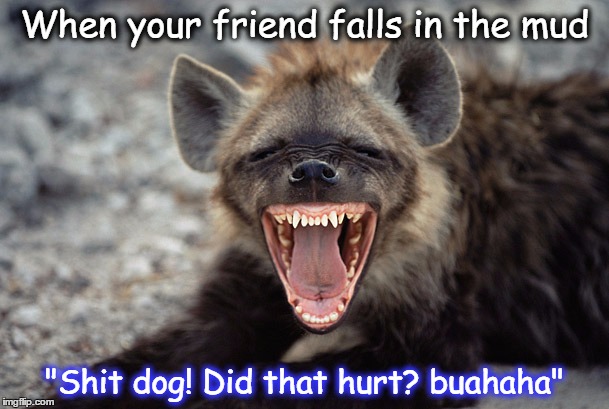 When your friend falls in the mud; "Shit dog! Did that hurt? buahaha" | image tagged in funny animals,funny memes | made w/ Imgflip meme maker