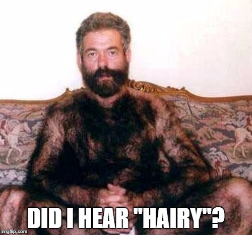 DID I HEAR "HAIRY"? | made w/ Imgflip meme maker