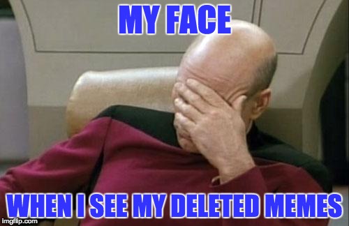 Ahhhh yeah we won't talk about that | MY FACE; WHEN I SEE MY DELETED MEMES | image tagged in memes,captain picard facepalm | made w/ Imgflip meme maker