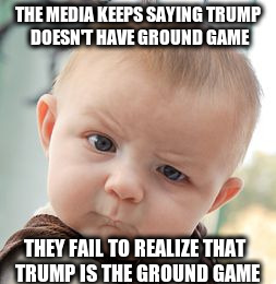 Skeptical Baby | THE MEDIA KEEPS SAYING TRUMP DOESN'T HAVE GROUND GAME; THEY FAIL TO REALIZE THAT TRUMP IS THE GROUND GAME | image tagged in memes,skeptical baby | made w/ Imgflip meme maker