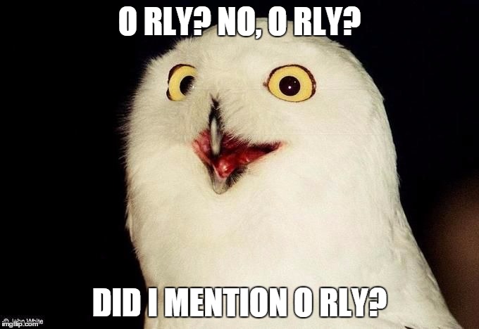 Orly Owl | O RLY? NO, O RLY? DID I MENTION O RLY? | image tagged in orly owl | made w/ Imgflip meme maker