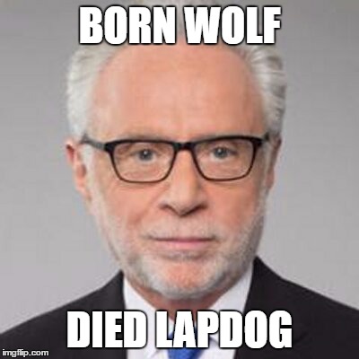 BORN WOLF; DIED LAPDOG | made w/ Imgflip meme maker