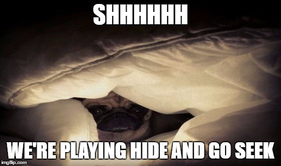 SHHHHHH; WE'RE PLAYING HIDE AND GO SEEK | image tagged in hiding | made w/ Imgflip meme maker