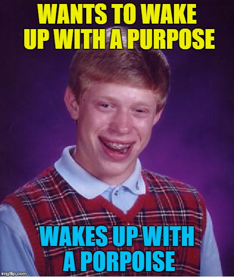 He didn't sea that coming... | WANTS TO WAKE UP WITH A PURPOSE; WAKES UP WITH A PORPOISE | image tagged in memes,bad luck brian,animals,porpoise | made w/ Imgflip meme maker