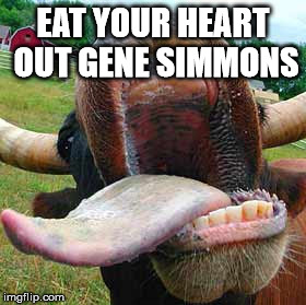 EAT YOUR HEART OUT GENE SIMMONS | made w/ Imgflip meme maker