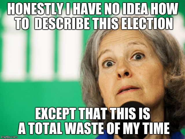 Jill Stein | HONESTLY I HAVE NO IDEA HOW TO  DESCRIBE THIS ELECTION; EXCEPT THAT THIS IS A TOTAL WASTE OF MY TIME | image tagged in jill stein | made w/ Imgflip meme maker