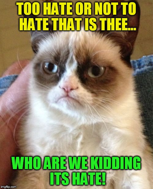 Grumpy Cat Meme | TOO HATE OR NOT TO HATE THAT IS THEE... WHO ARE WE KIDDING ITS HATE! | image tagged in memes,grumpy cat | made w/ Imgflip meme maker