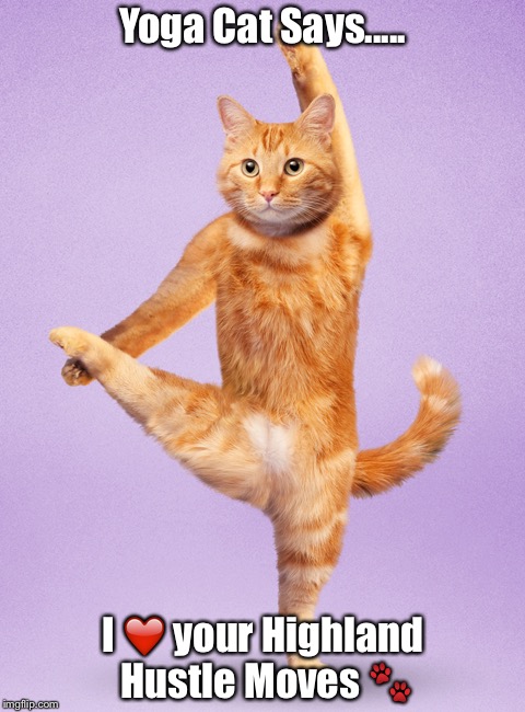 Yoga Cat Says..... I ❤️ your Highland Hustle Moves 🐾 | image tagged in yoga hustle cat | made w/ Imgflip meme maker