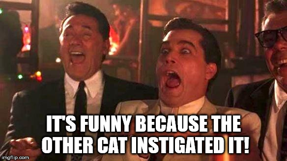 Goodfellas Laughing | IT'S FUNNY BECAUSE THE OTHER CAT INSTIGATED IT! | image tagged in goodfellas laughing | made w/ Imgflip meme maker