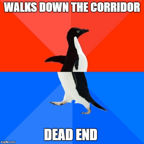 Socially Awesome Awkward Penguin Meme | WALKS DOWN THE CORRIDOR; DEAD END | image tagged in memes,socially awesome awkward penguin | made w/ Imgflip meme maker