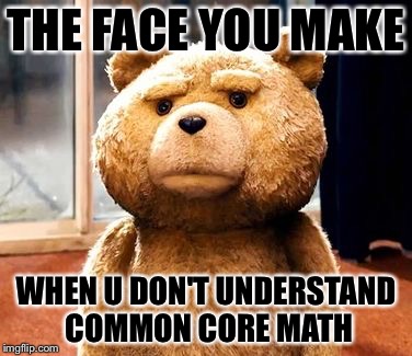 TED | THE FACE YOU MAKE; WHEN U DON'T UNDERSTAND COMMON CORE MATH | image tagged in memes,ted | made w/ Imgflip meme maker