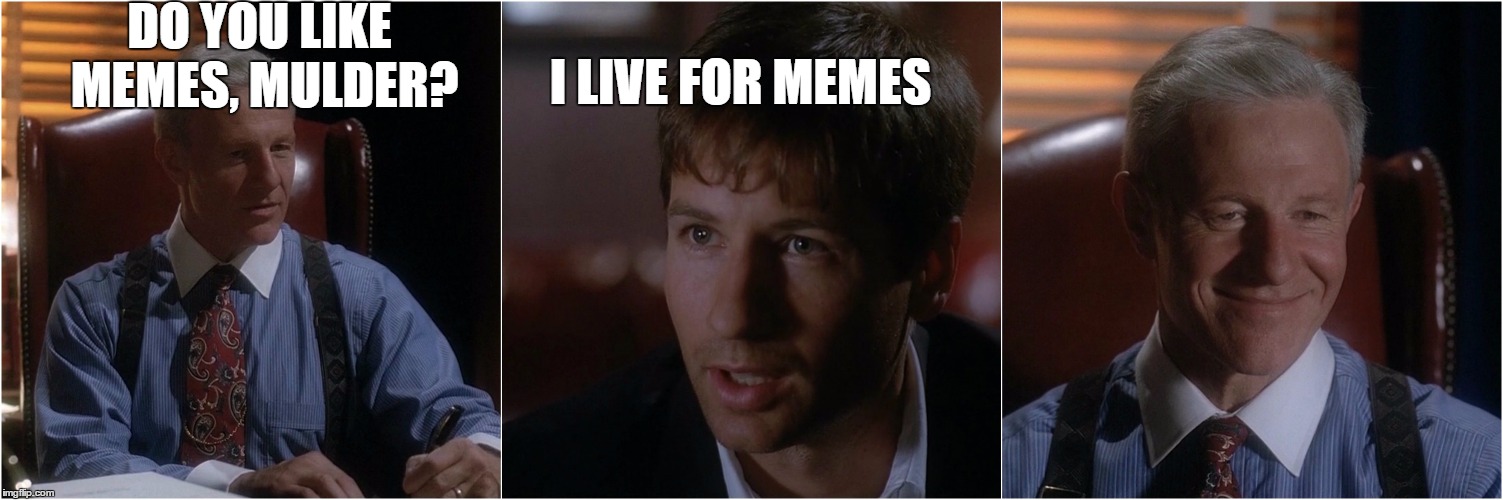 I live for memes | DO YOU LIKE MEMES, MULDER? I LIVE FOR MEMES | image tagged in fox mulder the x files,the x-files,mulder,little green men,memes,i live for memes | made w/ Imgflip meme maker