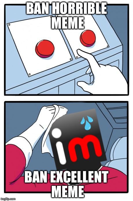 The Daily Struggle Imgflip Edition | BAN HORRIBLE MEME; BAN EXCELLENT MEME | image tagged in the daily struggle imgflip edition | made w/ Imgflip meme maker