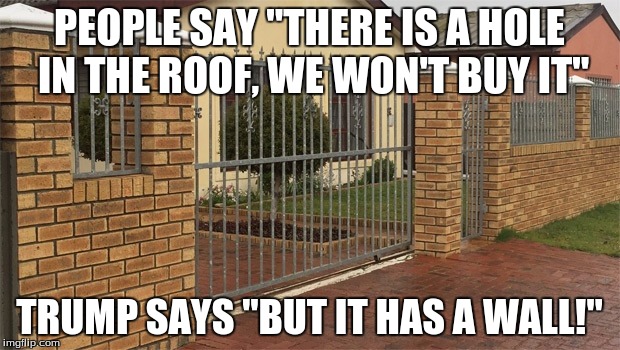 Trump wall | PEOPLE SAY "THERE IS A HOLE IN THE ROOF, WE WON'T BUY IT"; TRUMP SAYS "BUT IT HAS A WALL!" | image tagged in donald trump | made w/ Imgflip meme maker