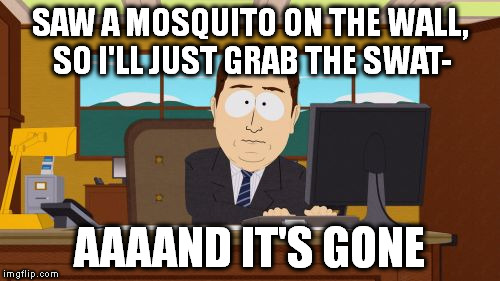 Aaaaand Its Gone | SAW A MOSQUITO ON THE WALL, SO I'LL JUST GRAB THE SWAT-; AAAAND IT'S GONE | image tagged in memes,aaaaand its gone | made w/ Imgflip meme maker