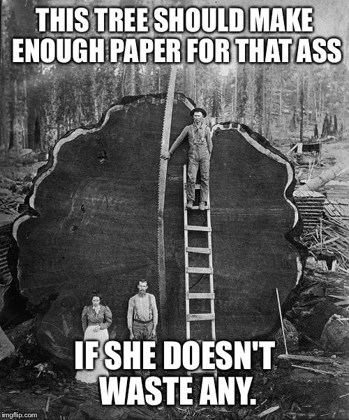 THIS TREE SHOULD MAKE ENOUGH PAPER FOR THAT ASS IF SHE DOESN'T WASTE ANY. | made w/ Imgflip meme maker
