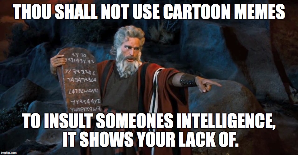 THOU SHALL NOT USE CARTOON MEMES TO INSULT SOMEONES INTELLIGENCE, IT SHOWS YOUR LACK OF. | image tagged in cartoon meme fail when insulting intelligence | made w/ Imgflip meme maker