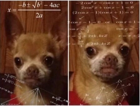 dog math Blank Meme Template