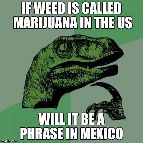 Philosoraptor Meme | IF WEED IS CALLED MARIJUANA IN THE US; WILL IT BE A PHRASE IN MEXICO | image tagged in memes,philosoraptor | made w/ Imgflip meme maker