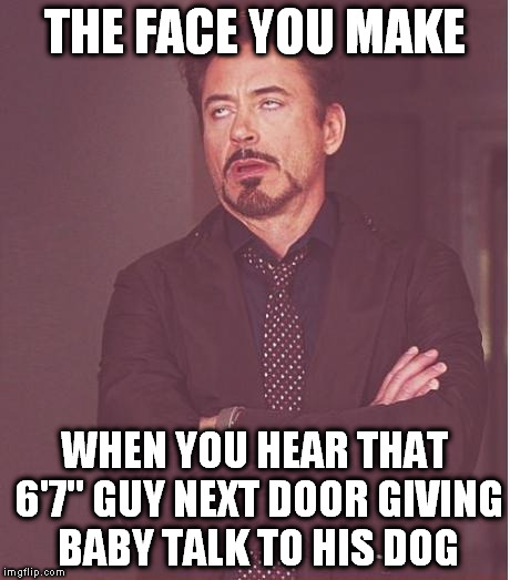 Next time he asks if "Hunter wants chicken for dinner," I'm gonna throw something | THE FACE YOU MAKE; WHEN YOU HEAR THAT 6'7'' GUY NEXT DOOR GIVING BABY TALK TO HIS DOG | image tagged in memes,face you make robert downey jr,neighbors,dogs,annoyed | made w/ Imgflip meme maker