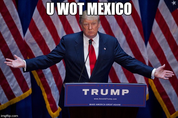 Donald Trump | U WOT MEXICO | image tagged in donald trump | made w/ Imgflip meme maker