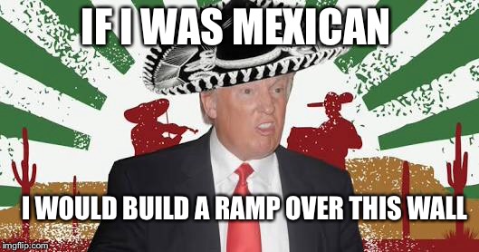Donald trump | IF I WAS MEXICAN; I WOULD BUILD A RAMP OVER THIS WALL | image tagged in donaldtrump | made w/ Imgflip meme maker