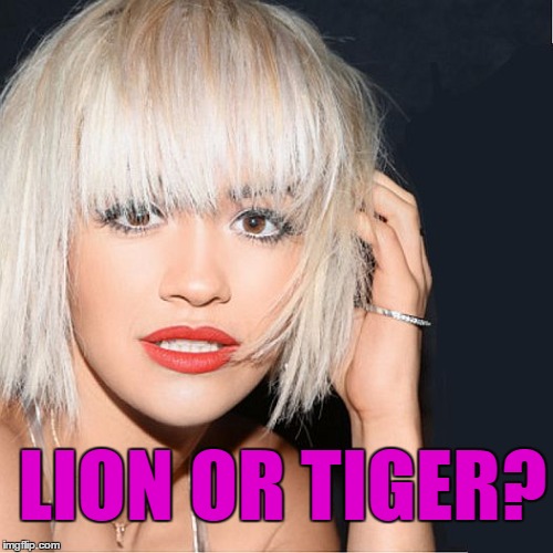 ditz | LION OR TIGER? | image tagged in ditz | made w/ Imgflip meme maker