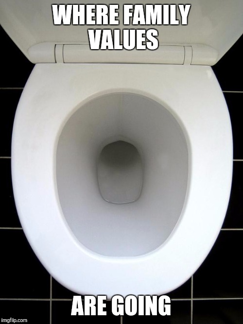 TOILET | WHERE FAMILY VALUES; ARE GOING | image tagged in toilet | made w/ Imgflip meme maker