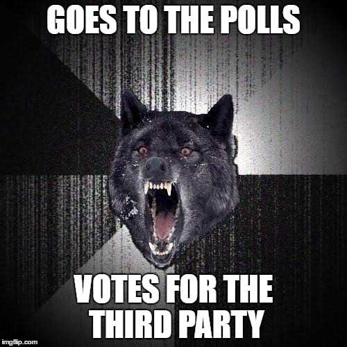 Insanity Poll | GOES TO THE POLLS; VOTES FOR THE THIRD PARTY | image tagged in memes,insanity wolf | made w/ Imgflip meme maker