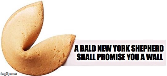 Fortune Cookie | A BALD NEW YORK SHEPHERD SHALL PROMISE YOU A WALL | image tagged in fortune cookie | made w/ Imgflip meme maker