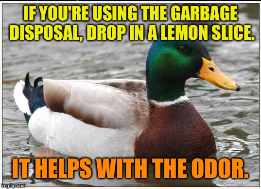 Actual Advice Mallard | IF YOU'RE USING THE GARBAGE DISPOSAL, DROP IN A LEMON SLICE. IT HELPS WITH THE ODOR. | image tagged in memes,actual advice mallard | made w/ Imgflip meme maker