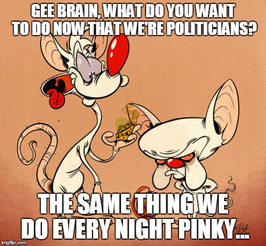 GEE BRAIN, WHAT DO YOU WANT TO DO NOW THAT WE'RE POLITICIANS? THE SAME THING WE DO EVERY NIGHT PINKY... | made w/ Imgflip meme maker