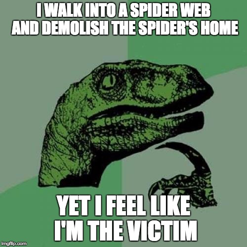 Humans These Days | I WALK INTO A SPIDER WEB AND DEMOLISH THE SPIDER'S HOME; YET I FEEL LIKE I'M THE VICTIM | image tagged in memes,philosoraptor | made w/ Imgflip meme maker