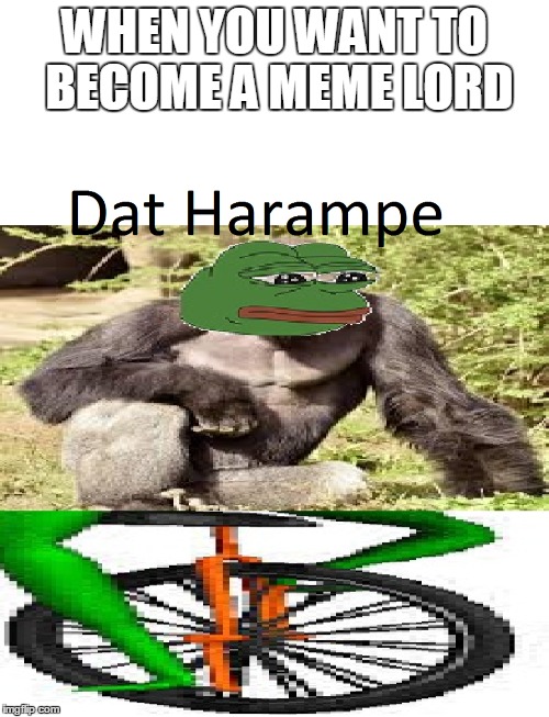 WHEN YOU WANT TO BECOME A MEME LORD | image tagged in datharampe,nochill,chillaryclinton,becoming,memelord | made w/ Imgflip meme maker